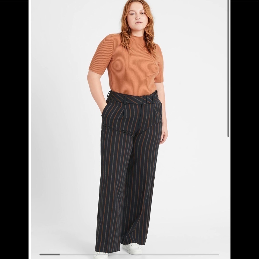 NWT Banana Republic Pant Trouser High Rise Slim Wide Leg Washable Stretch Stripe